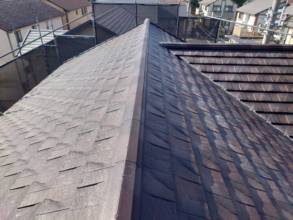 カラーベストからルーガ