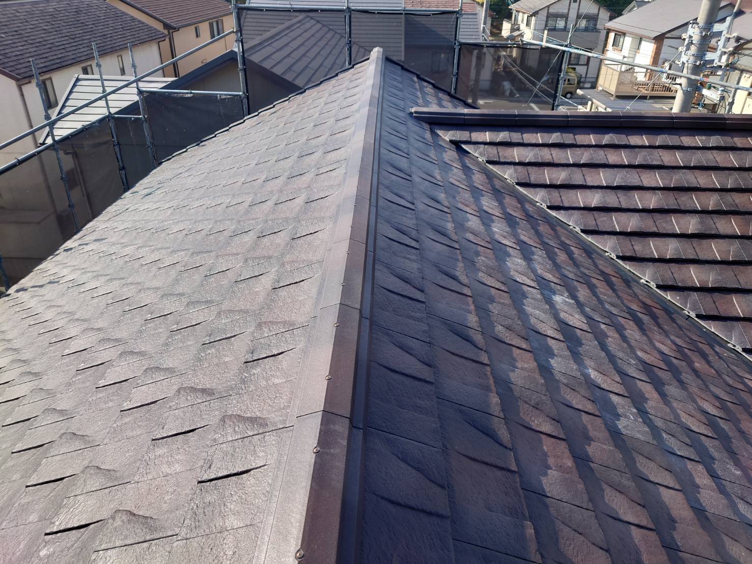 カラーベストからルーガ